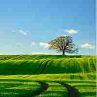 自﻿动﻿助‍手﻿怎‌么‍设​置‍